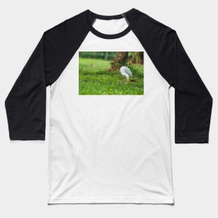 Cattle Egret 4 Baseball T-Shirt